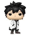 Funko Fairy Tail Pop! Animation Gray 2287
