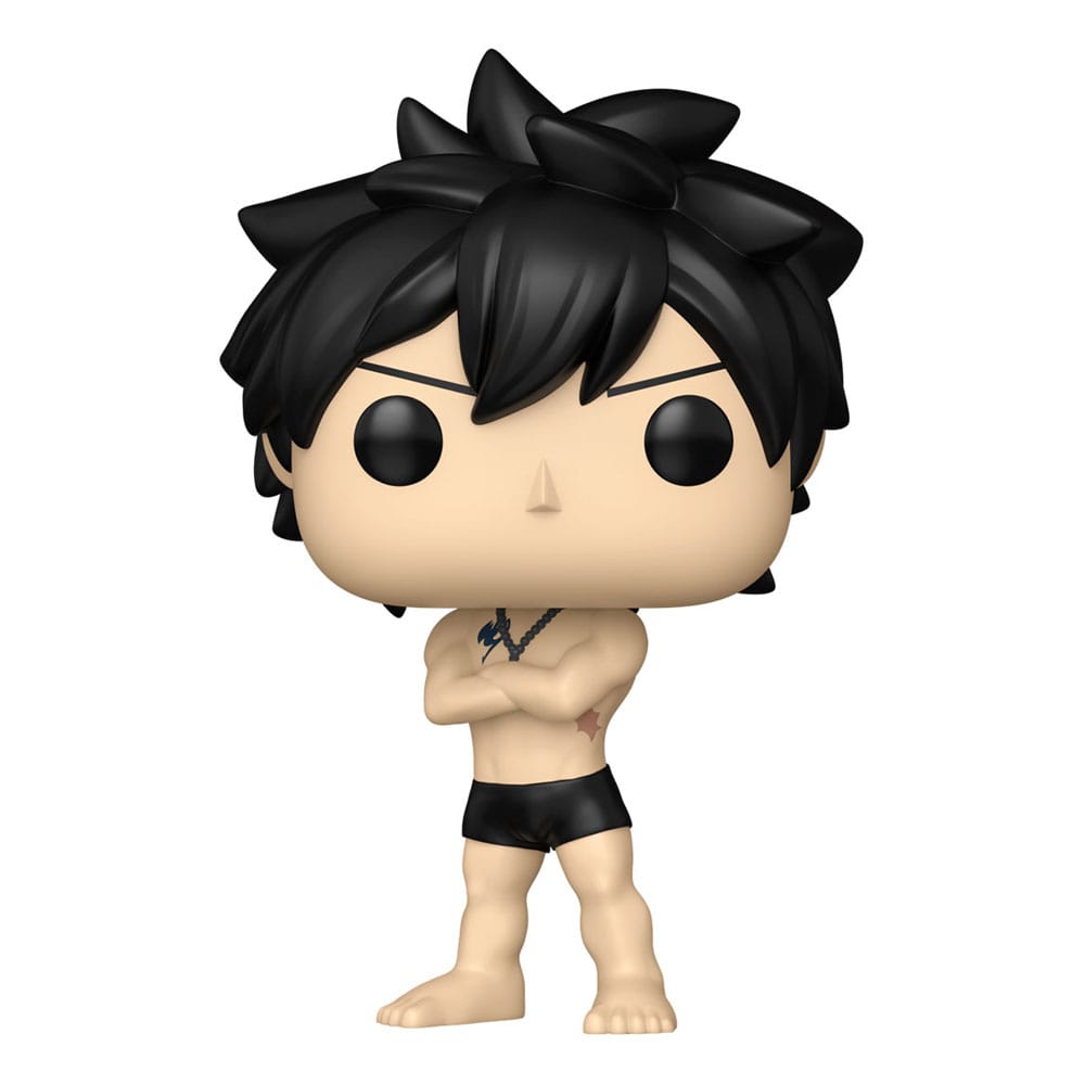 Funko Fairy Tail Pop! Animation Gray Chase